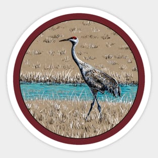 Sandhill Crane color ink drawing Sticker